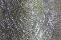 Middle Wick fibreglass roof work